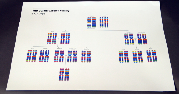 用棉簽采集你嘴里的DNA，根據它的特征定制一條專屬圍巾