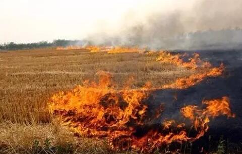 十年后霧霾會(huì)消失嗎？院士：十年內(nèi)難治好霧霾